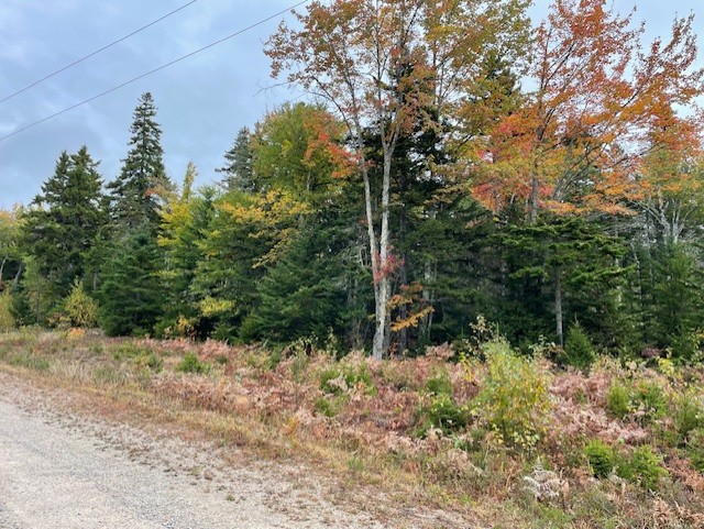 Dolly Head Estates Road South, Steuben